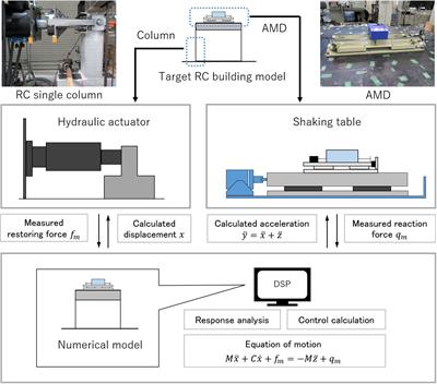 Real-Time Hybrid Test Using Two-Individual Actuators to Evaluate Seismic Performance of RC Frame Model Controlled by AMD